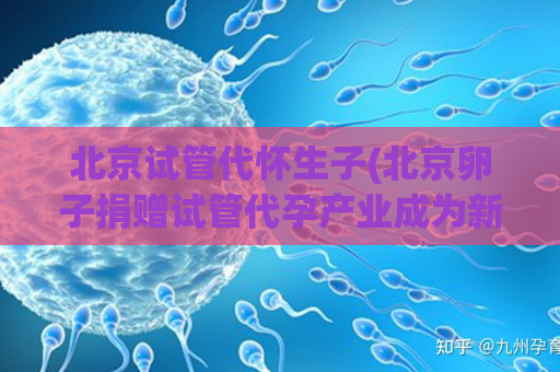 北京试管代怀生子(北京卵子捐赠试管代孕产业成为新兴市场)